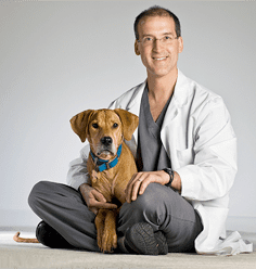 dr lazar and a dog